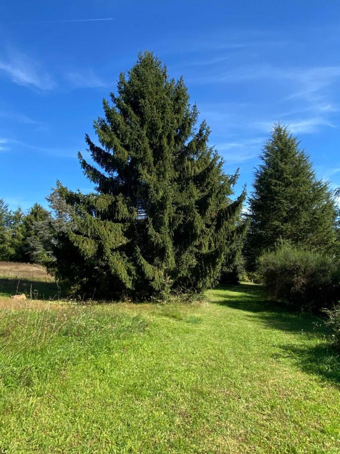 Domaine Le Manoir, Gites De Charme Et De Caractere Avec Piscines Privatisees Et Spa Nordique Fossemagne المظهر الخارجي الصورة