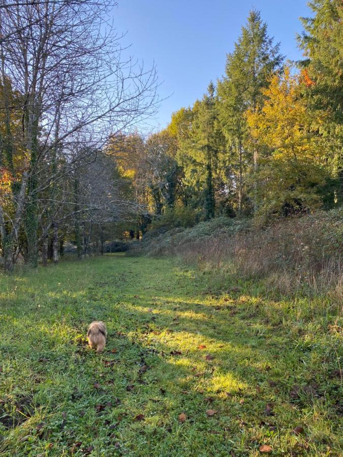 Domaine Le Manoir, Gites De Charme Et De Caractere Avec Piscines Privatisees Et Spa Nordique Fossemagne المظهر الخارجي الصورة