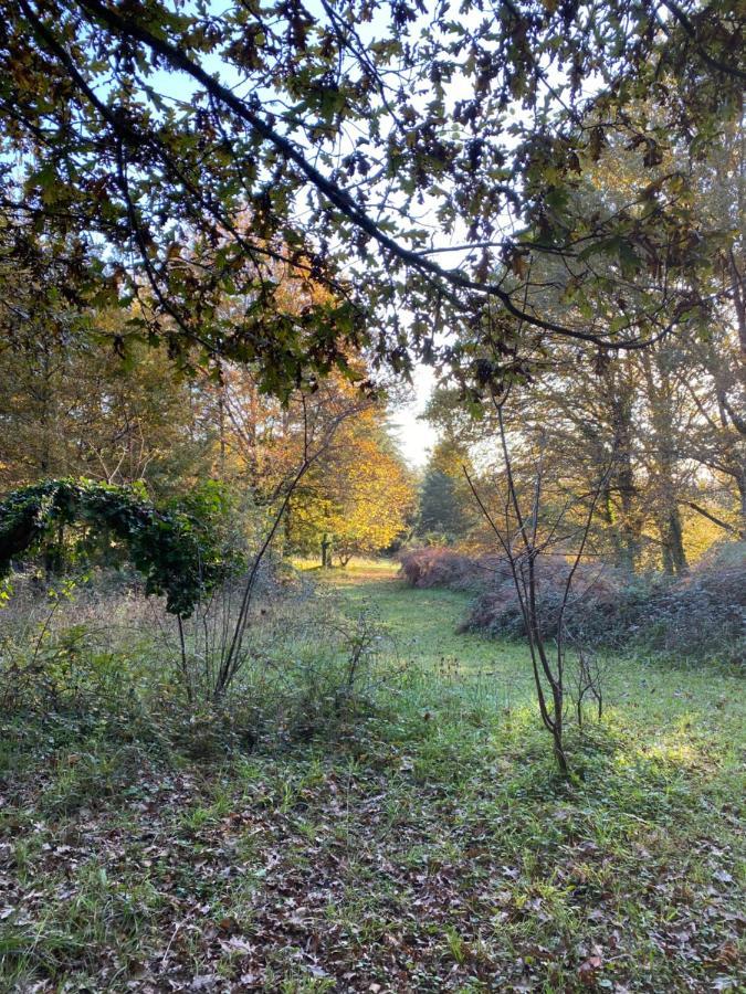 Domaine Le Manoir, Gites De Charme Et De Caractere Avec Piscines Privatisees Et Spa Nordique Fossemagne المظهر الخارجي الصورة