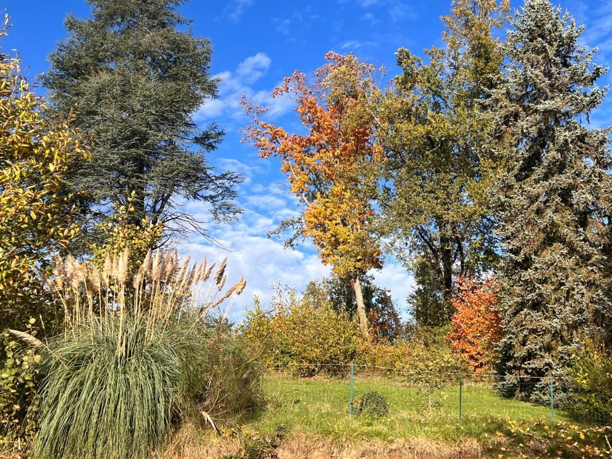 Domaine Le Manoir, Gites De Charme Et De Caractere Avec Piscines Privatisees Et Spa Nordique Fossemagne المظهر الخارجي الصورة