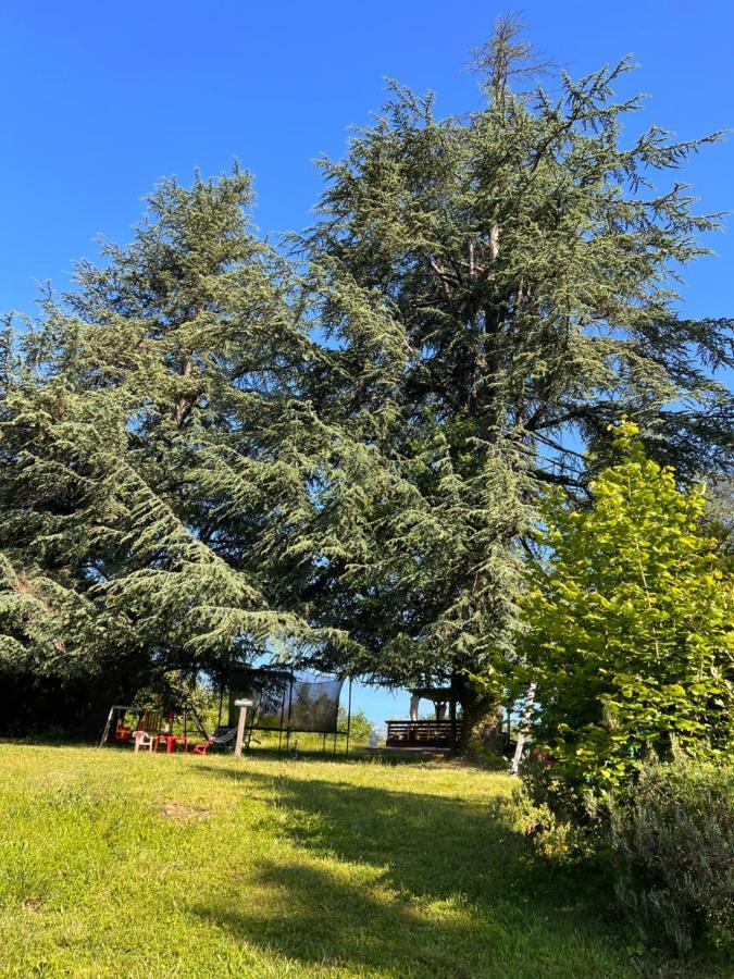 Domaine Le Manoir, Gites De Charme Et De Caractere Avec Piscines Privatisees Et Spa Nordique Fossemagne المظهر الخارجي الصورة